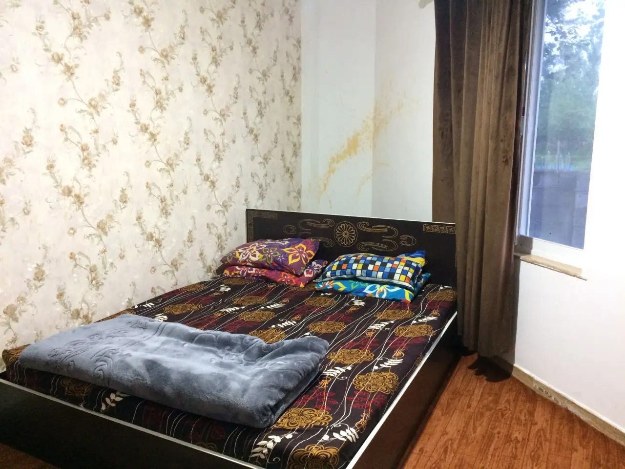 سوئیت جنگلی گیسوم صنوبر