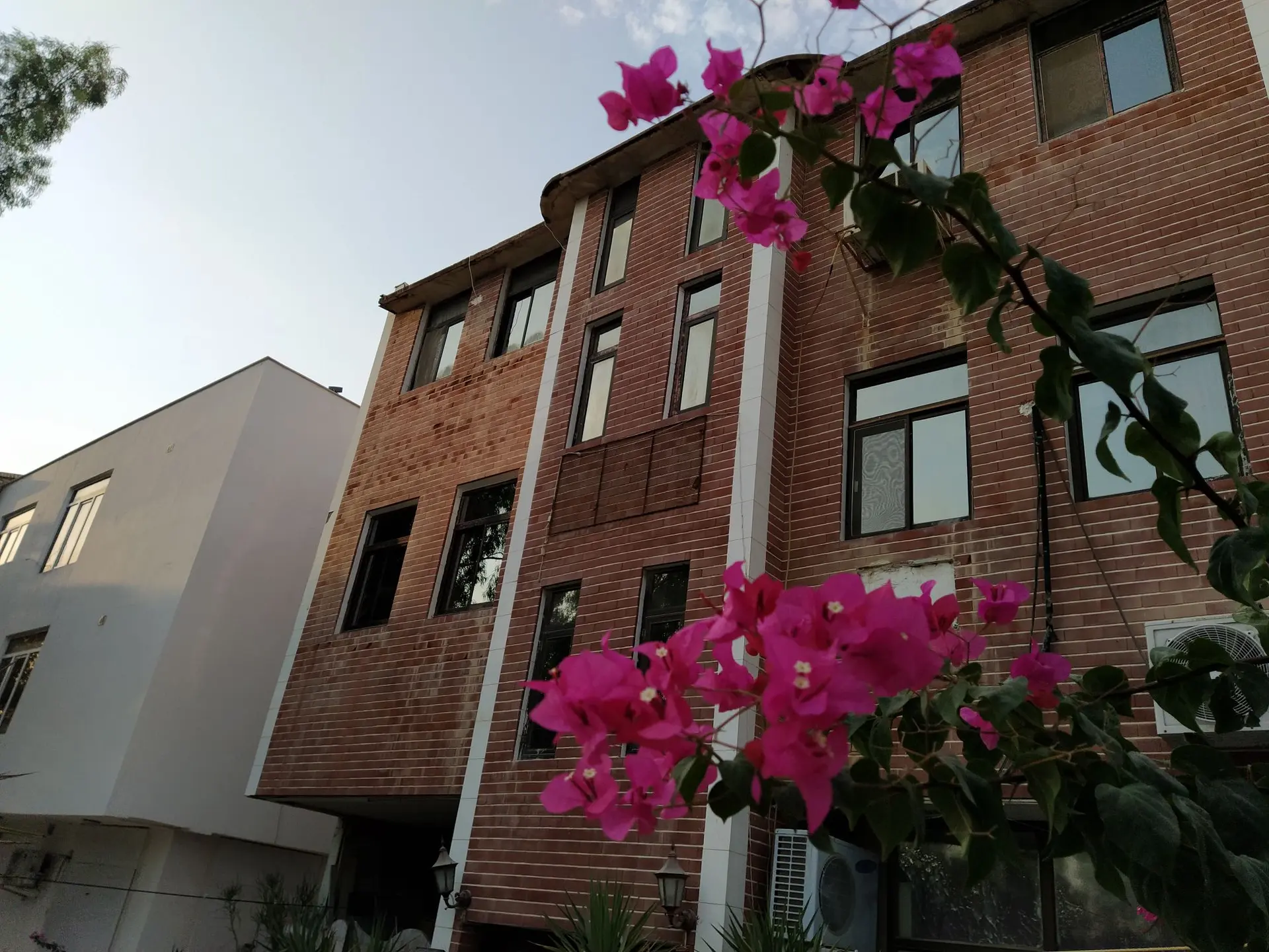 آپارتمان یک خواب مبله صدف