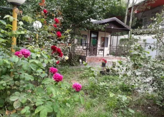 اجاره کلبه جنگلی در حیران