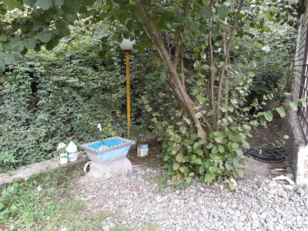 اجاره کلبه جنگلی در حیران