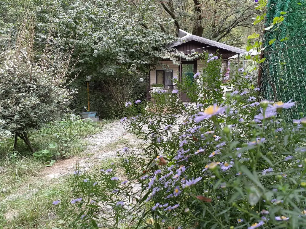 اجاره کلبه جنگلی در حیران
