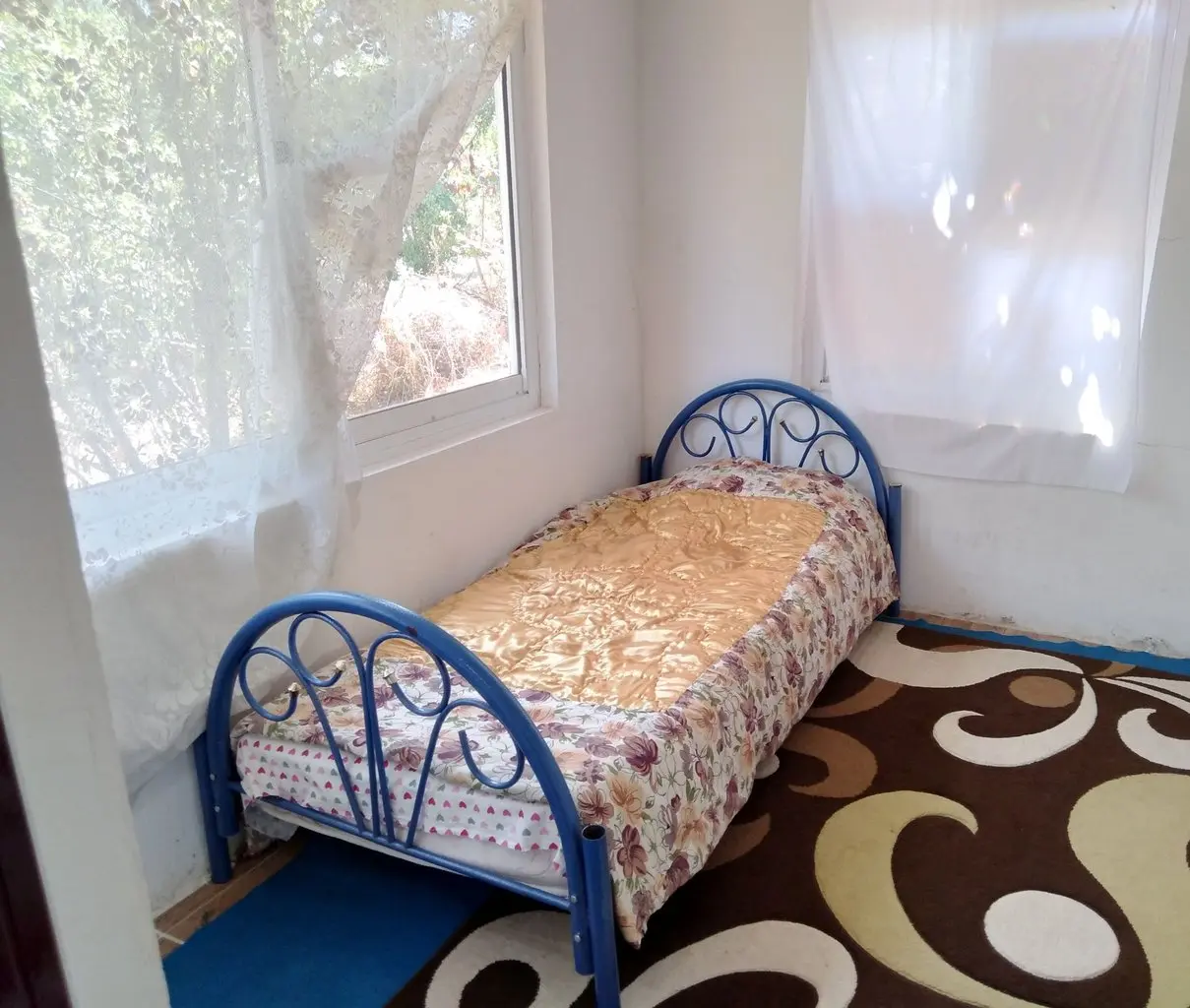 خانه جنگلی کیشه خاله 