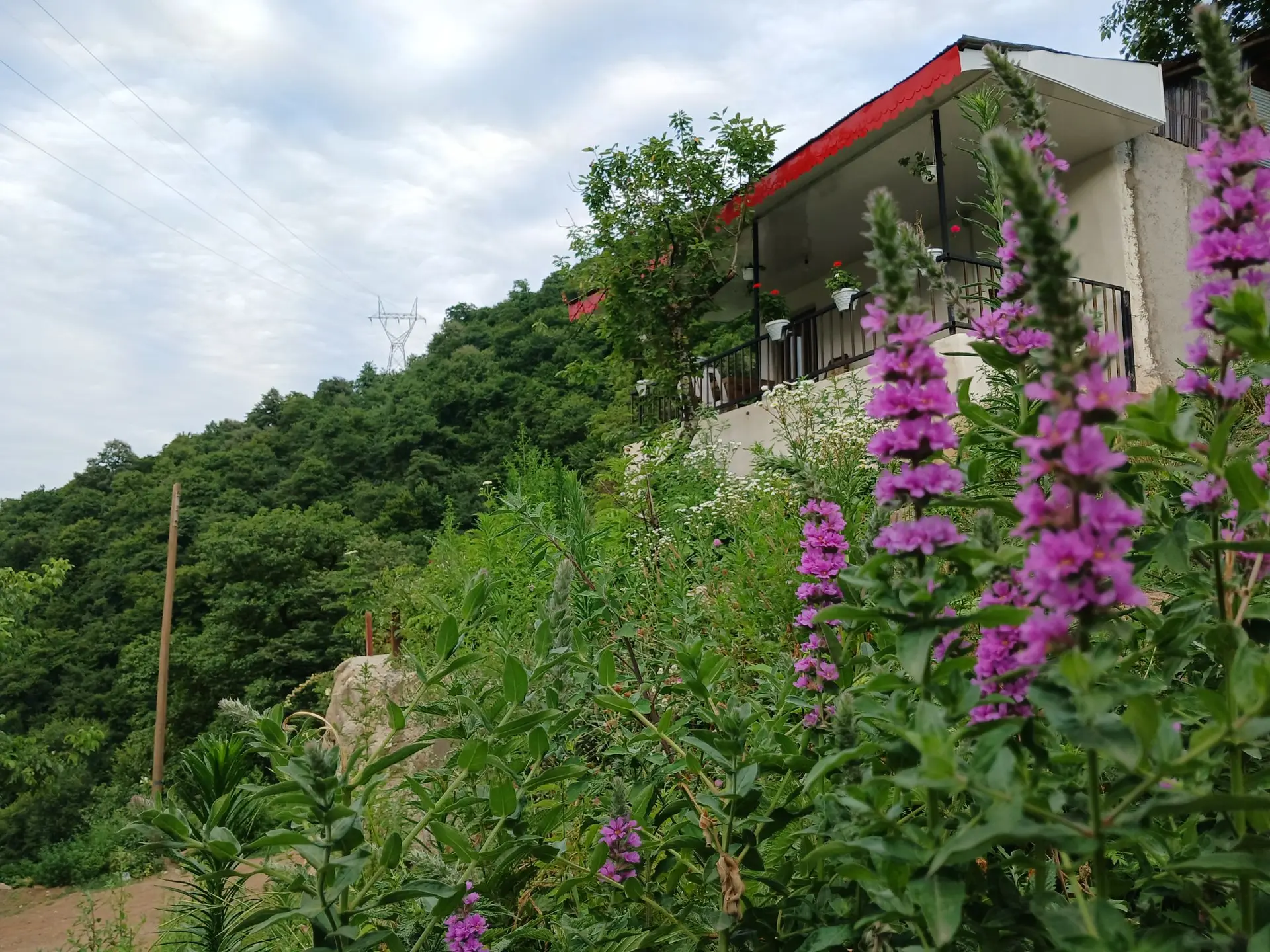 ویلای جنگلی گردنه حیران