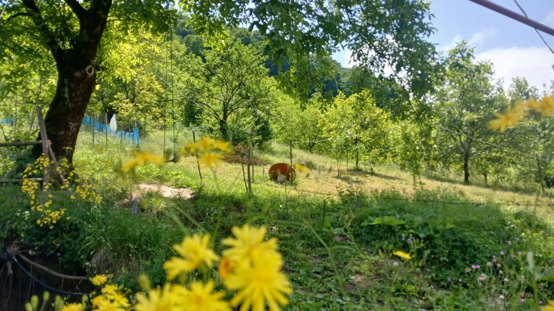 ویلای جنگلی گردنه حیران