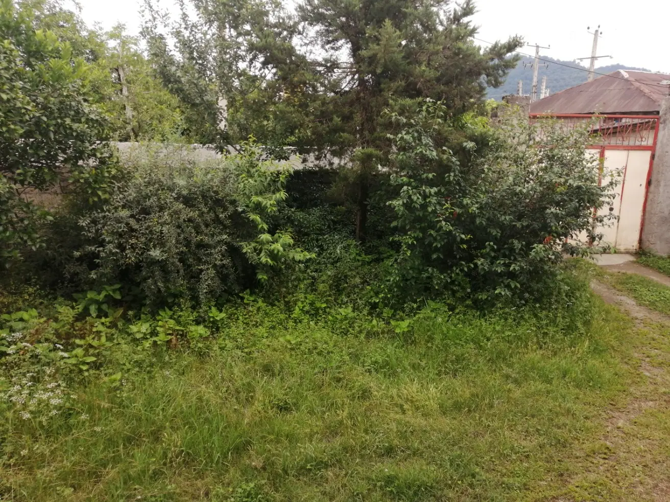 ویلایی تک خوابه جاده ماسوله واحد 1