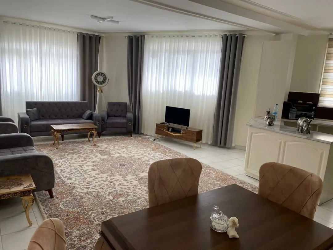 آپارتمان دو خواب ریکادو ولیعصر 1