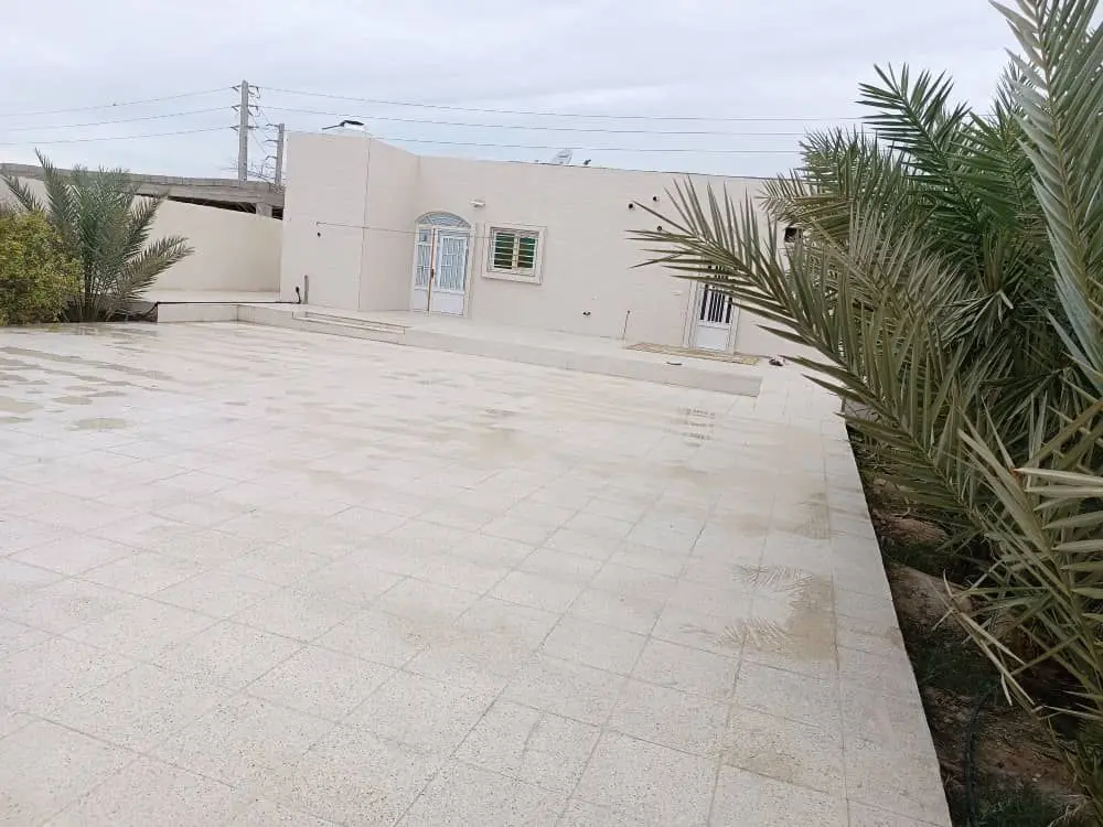 سوئیت کوه کالینگی (صدفی)