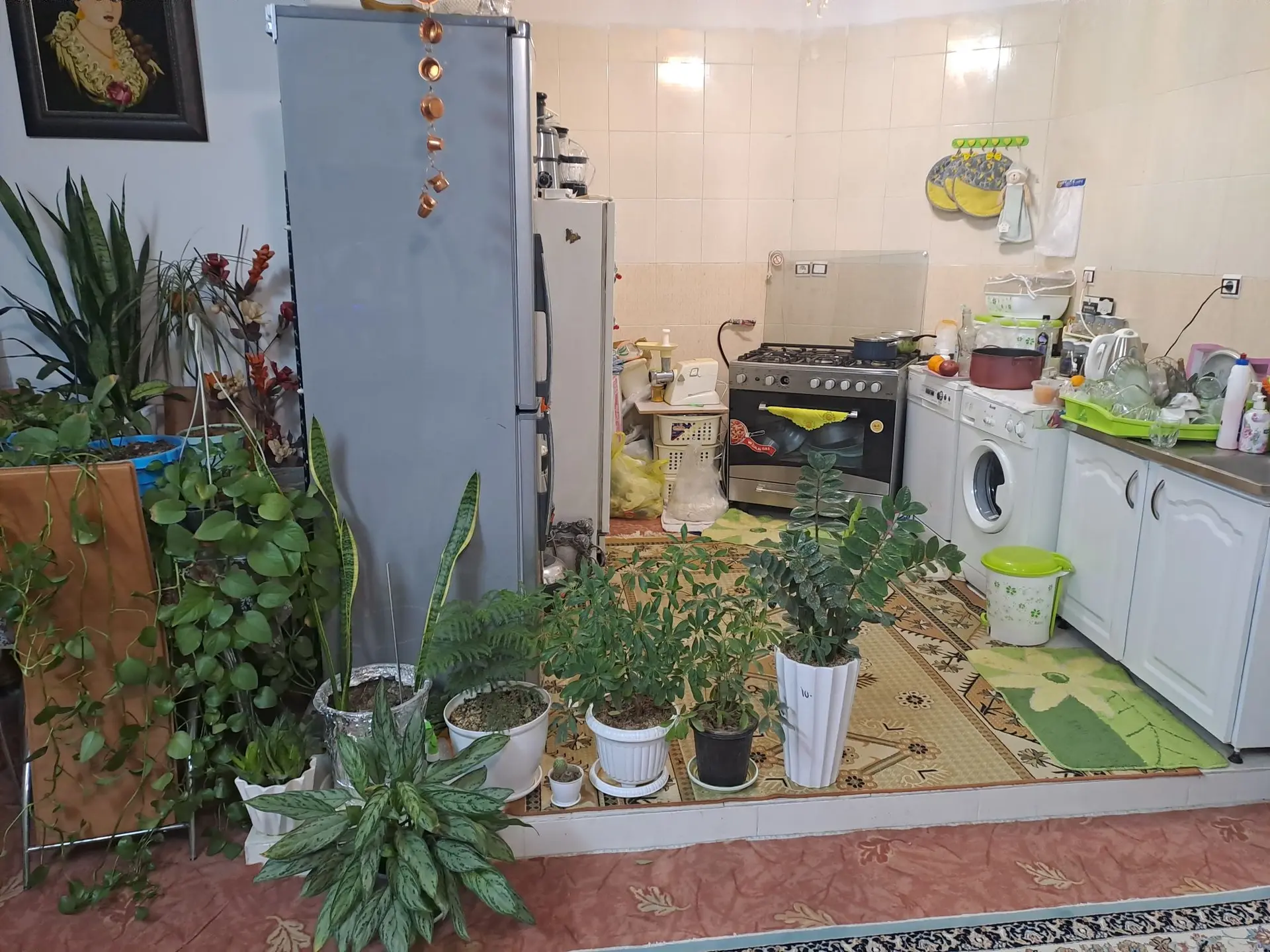 واحد دربست آپارتمان تکخواب قم