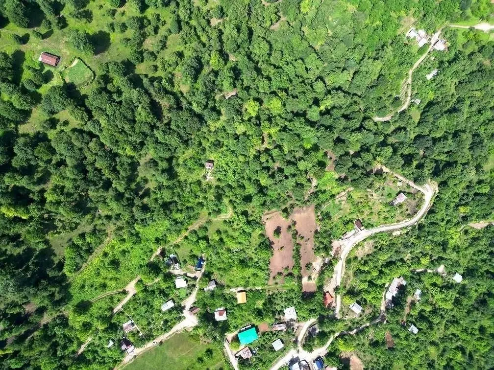 کلبه جنگلی جکوزی دار ونوشه در لفور