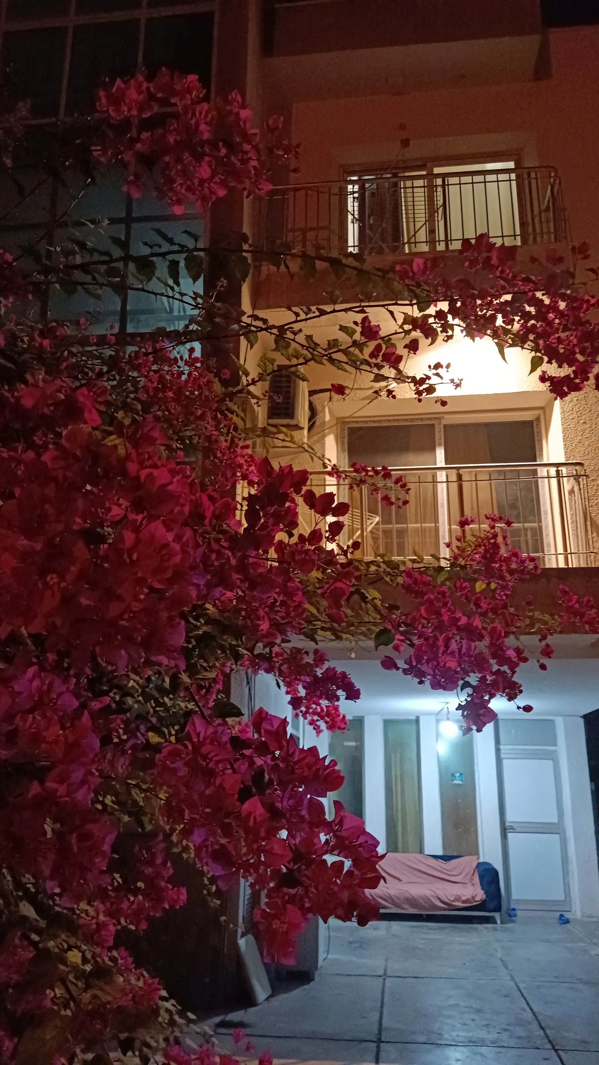 آپارتمان دوخواب صدف در کیش