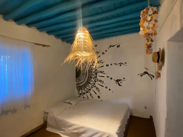 بوم گردی مغ واحد ۱