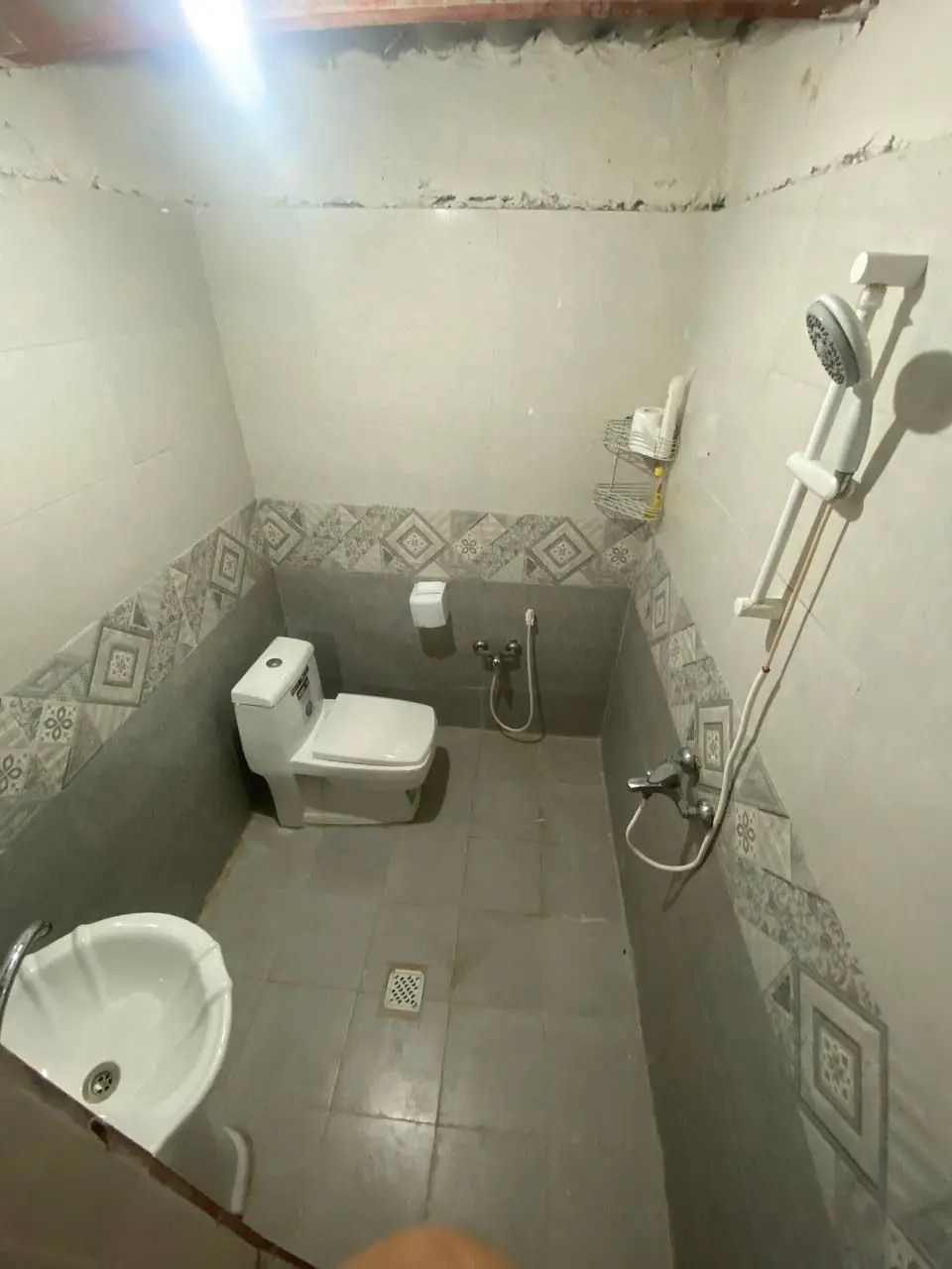 بوم گردی مغ واحد ۱