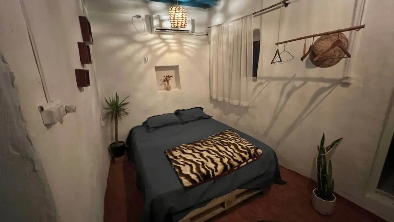 بوم گردی مغ واحد ۴