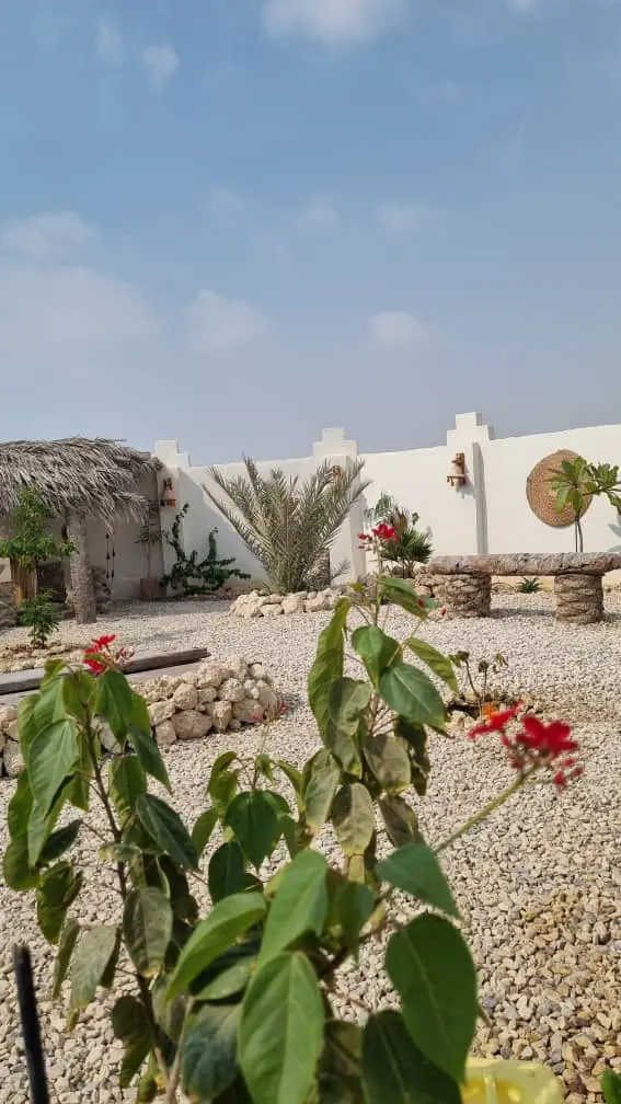 بوم گردی سفرسال اتاق کُنته