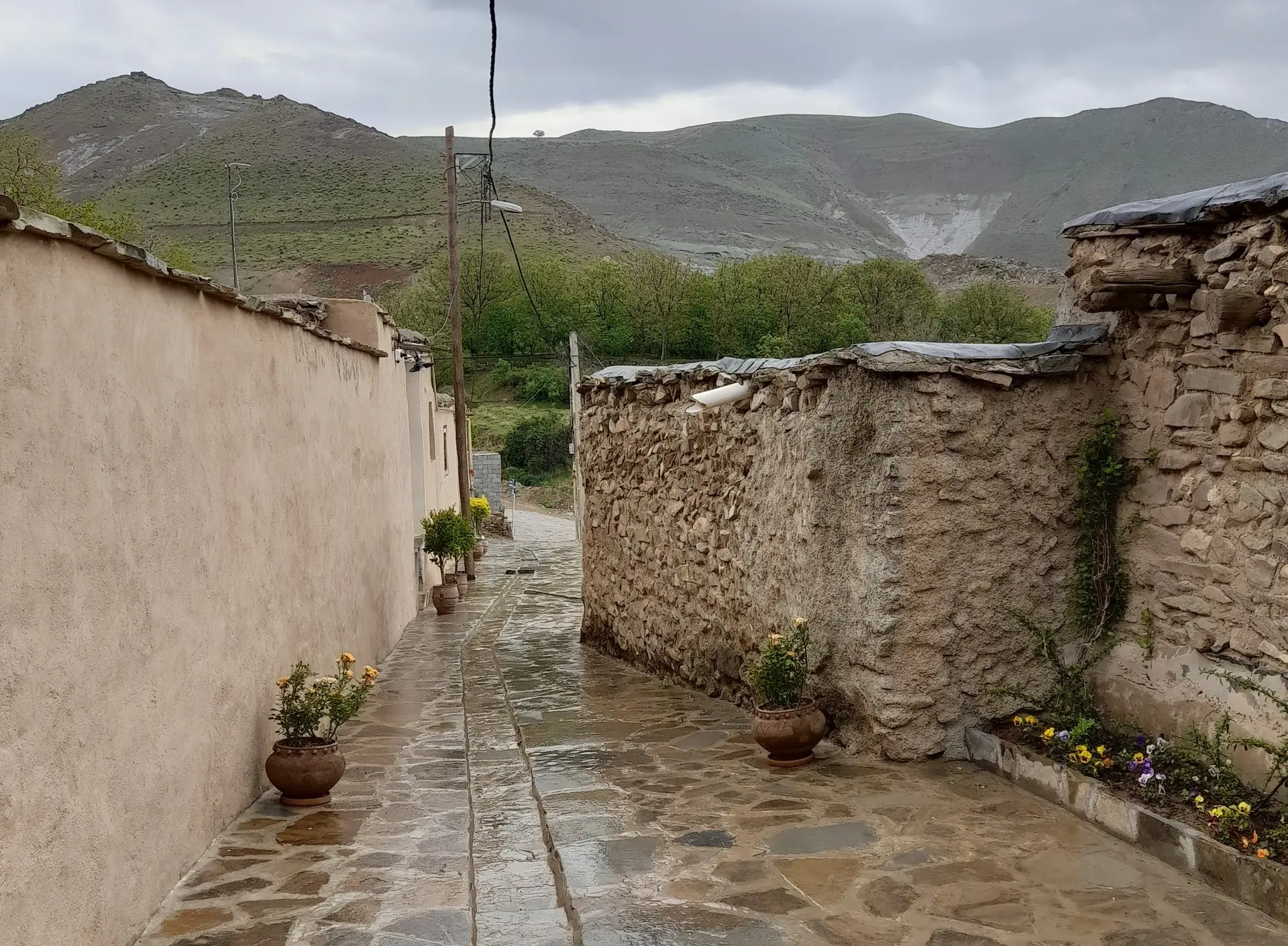بوم گردی اله بوم اتاق آلاله