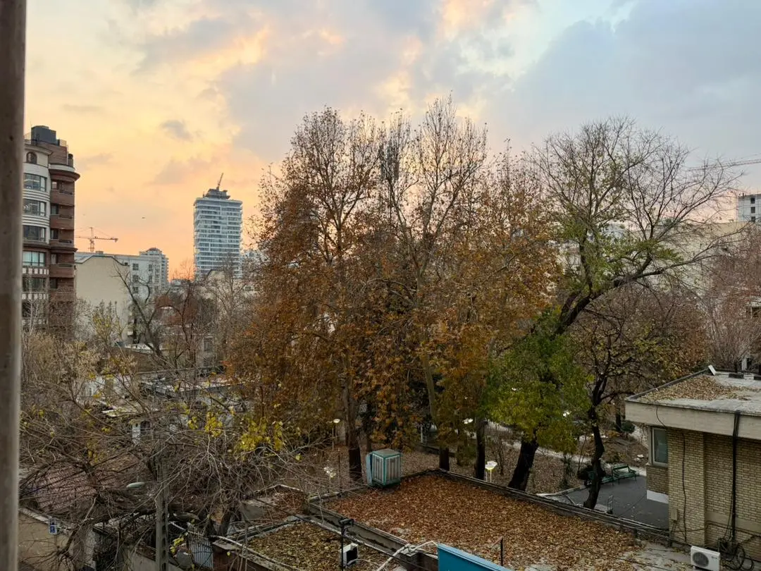 آپارتمان یک خوابه هاله