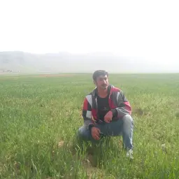 آواتار میزبان
