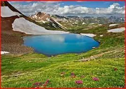 آواتار میزبان