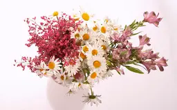 آواتار میزبان