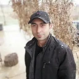 Mohamad Shahcheraghi
