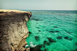 آواتار میزبان