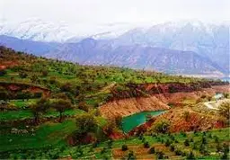 آواتار میزبان