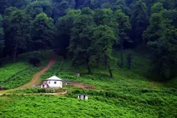آواتار میزبان