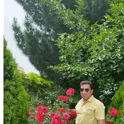 آواتار میزبان