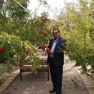 آواتار میزبان