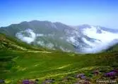 آواتار میزبان