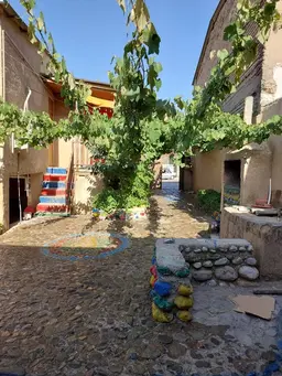 آواتار میزبان