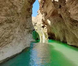 آواتار میزبان