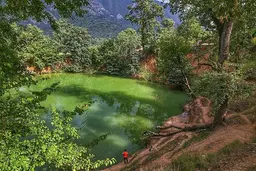 آواتار میزبان
