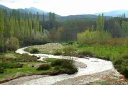 آواتار میزبان
