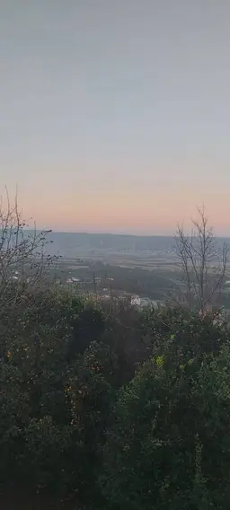 آواتار میزبان