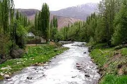 آواتار میزبان