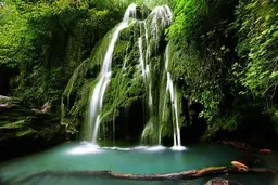 آواتار میزبان