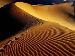 آواتار میزبان