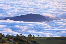 آواتار میزبان