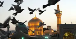 آواتار میزبان