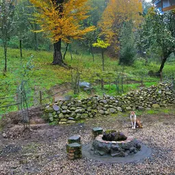 آواتار میزبان