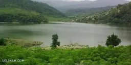 نوروزعلی علیپور