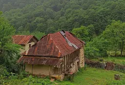 آواتار میزبان