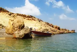 آواتار میزبان