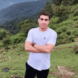 محمد نامور منصورآبادی