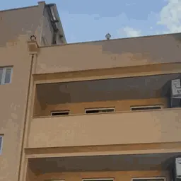 آواتار میزبان