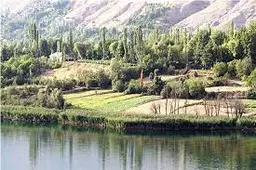 آواتار میزبان