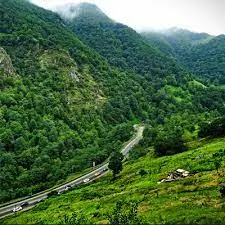 آواتار میزبان