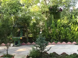 آواتار میزبان