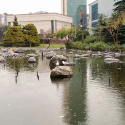 آقای کوروش جلیلی